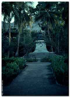 ���� ������ ��� ��� ����