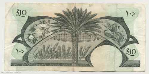 ���� ������ ��� ��� ����