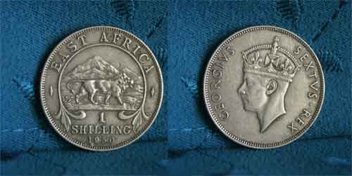 ���� ������ ��� ��� ����