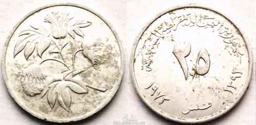 ���� ������ ��� ��� ����