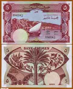 ���� ������ ��� ��� ����