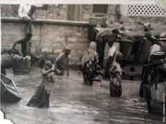 ���� ������ ��� ��� ����