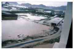 ���� ������ ��� ��� ����