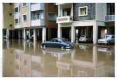 ���� ������ ��� ��� ����