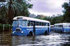 ���� ������ ��� ��� ����