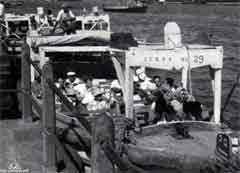 انقر للحصول على حجم اكبر