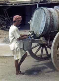 ���� ������ ��� ��� ����