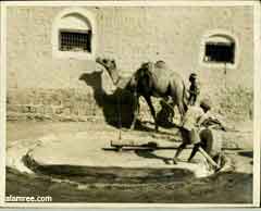 انقر للحصول على حجم اكبر