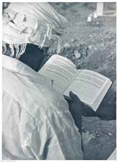 ���� ������ ��� ��� ����