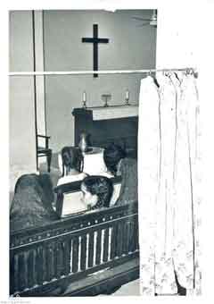 ���� ������ ��� ��� ����