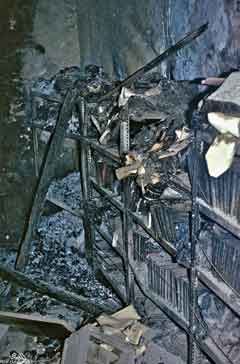 ���� ������ ��� ��� ����