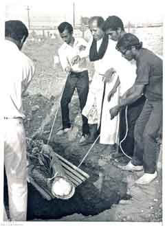 ���� ������ ��� ��� ����