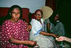 ���� ������ ��� ��� ����