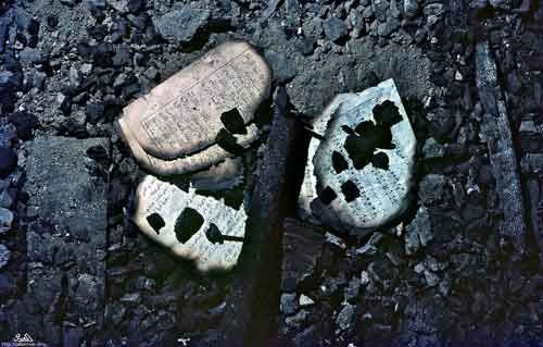 ���� ������ ��� ��� ����