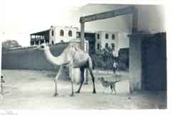 ���� ������ ��� ��� ����