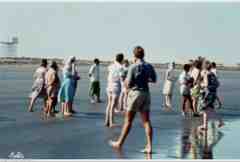 ���� ������ ��� ��� ����