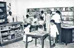 ���� ������ ��� ��� ����