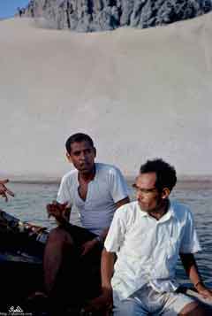 ���� ������ ��� ��� ����