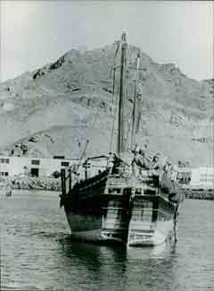 ���� ������ ��� ��� ����