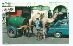 ���� ������ ��� ��� ����