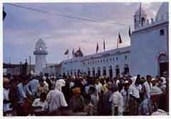 ���� ������ ��� ��� ����