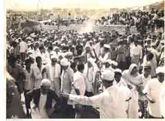 ���� ������ ��� ��� ����