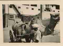 ���� ������ ��� ��� ����