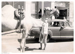 ���� ������ ��� ��� ����