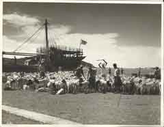 ���� ������ ��� ��� ����