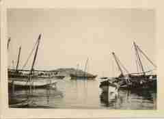 ���� ������ ��� ��� ����