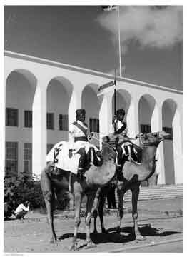 ���� ������ ��� ��� ����