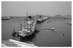 ���� ������ ��� ��� ����