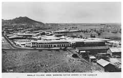 ���� ������ ��� ��� ����