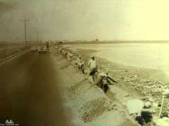 ���� ������ ��� ��� ����