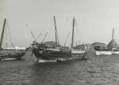 ���� ������ ��� ��� ����