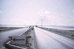 ���� ������ ��� ��� ����