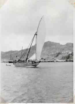 ���� ������ ��� ��� ����