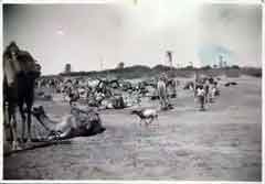 ���� ������ ��� ��� ����