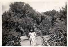 ���� ������ ��� ��� ����