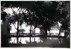 ���� ������ ��� ��� ����