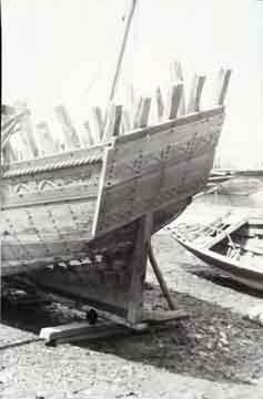 ���� ������ ��� ��� ����