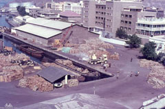 ���� ������ ��� ��� ����