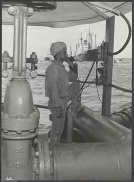 ���� ������ ��� ��� ����