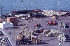 ���� ������ ��� ��� ����