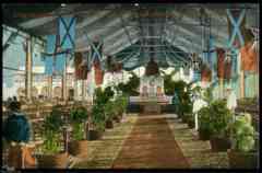 ���� ������ ��� ��� ����