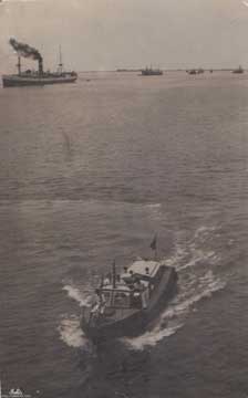 ���� ������ ��� ��� ����