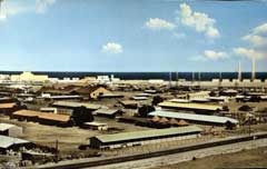 ���� ������ ��� ��� ����