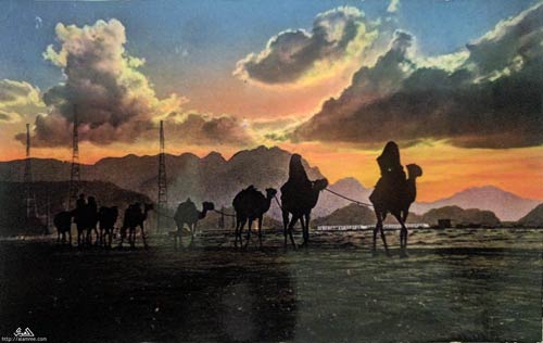 انقر للحصول على حجم اكبر