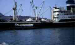 ���� ������ ��� ��� ����