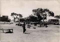 ���� ������ ��� ��� ����